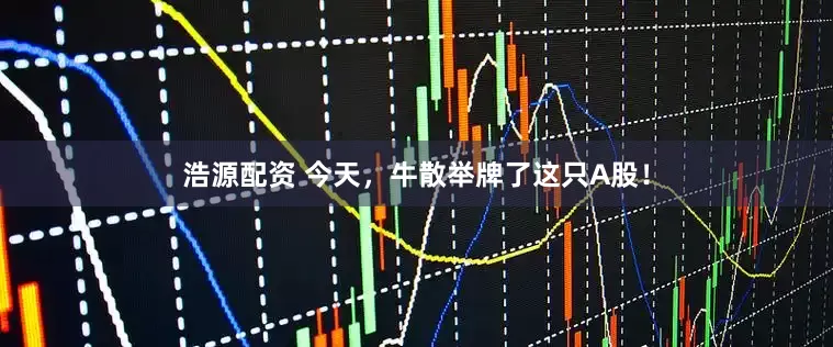 浩源配资 今天，牛散举牌了这只A股！