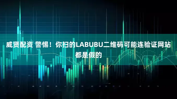 威贤配资 警惕！你扫的LABUBU二维码可能连验证网站都是假的